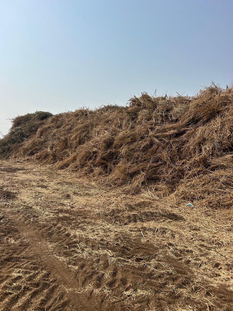 Crop residue collected from local farms